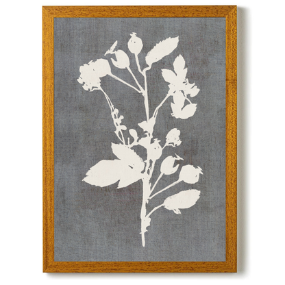 Botanical Illustration 3 by Cartissi
