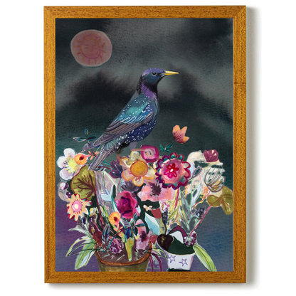 Starling by Claire Westwood