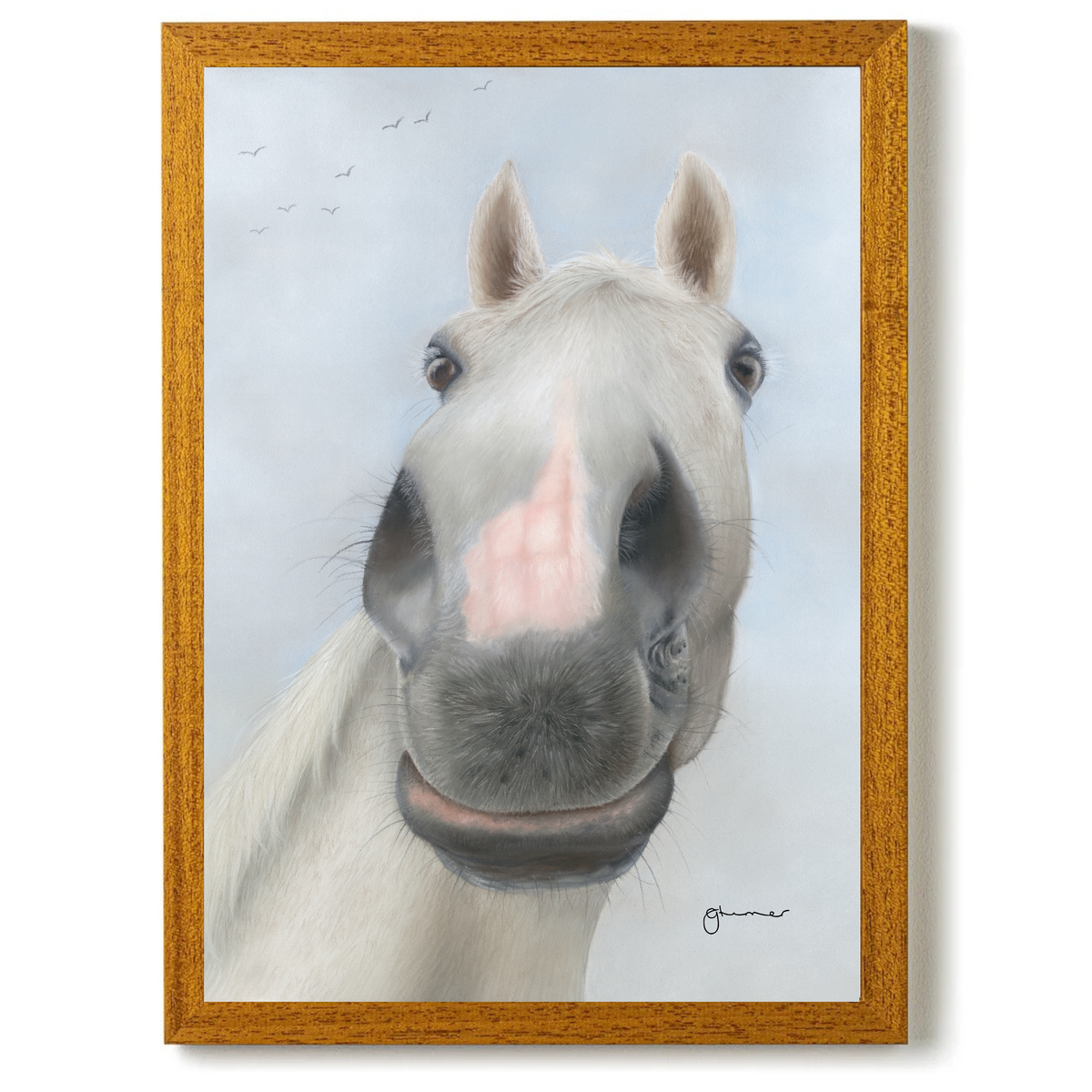 Desert Orchid by Georgie Turner