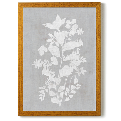 Botanical Illustration 5 by Cartissi