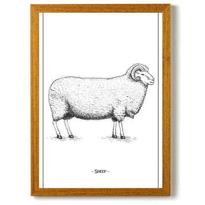 Sheep by Jason Stanley
