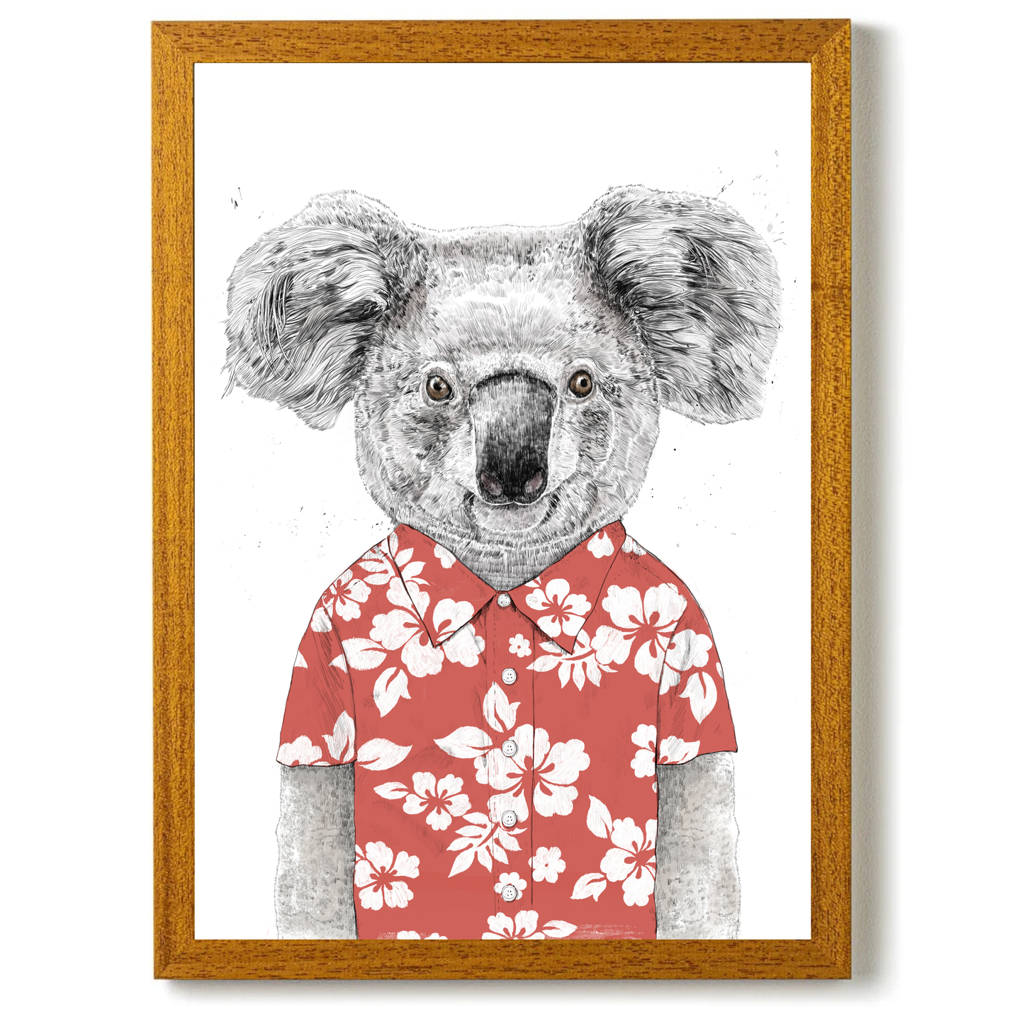 Summer Koala by Balazs Solti