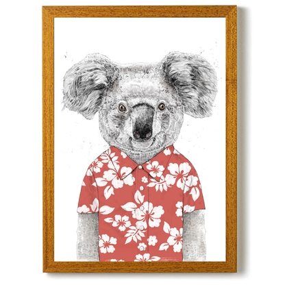 Summer Koala by Balazs Solti