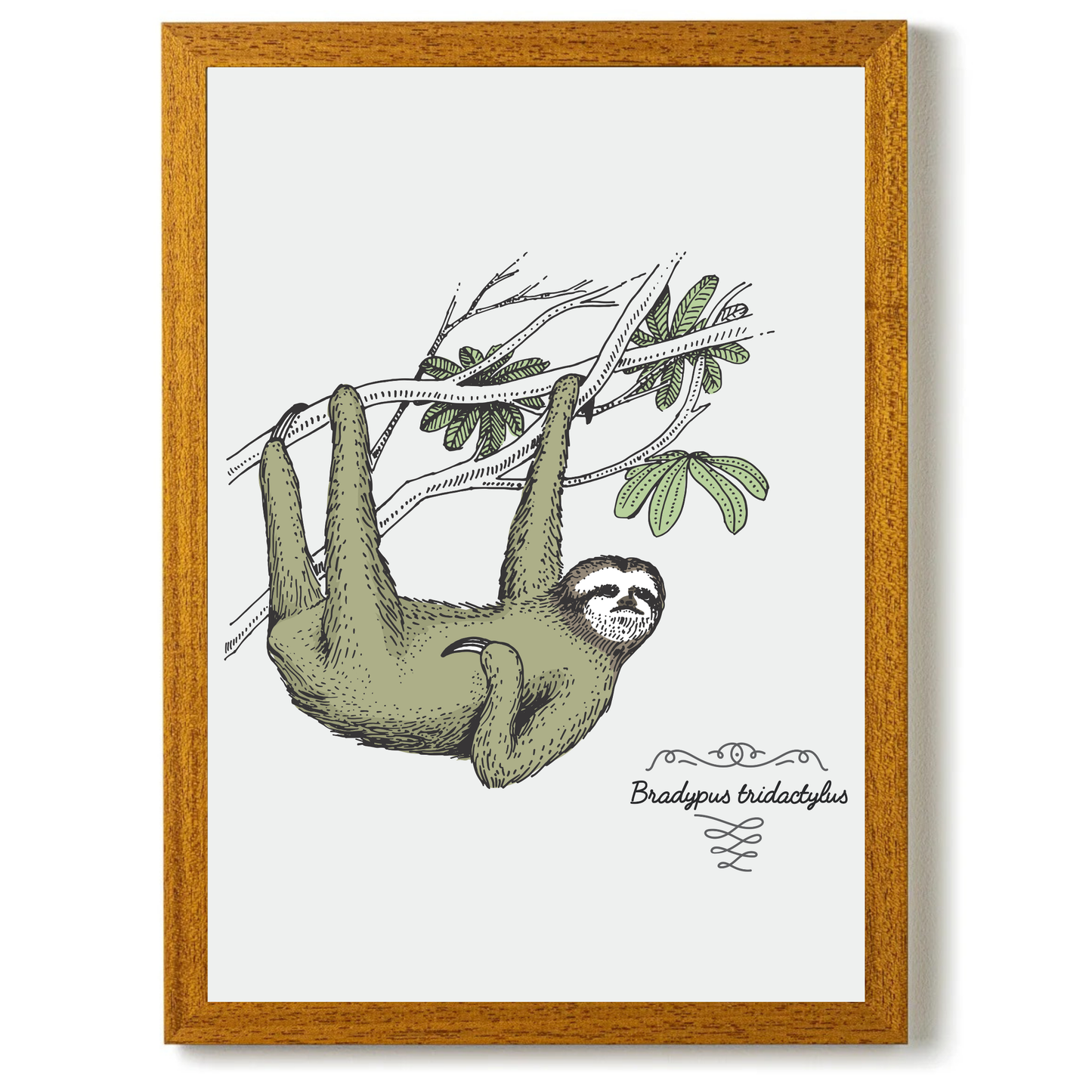 Sloth by Jason Stanley