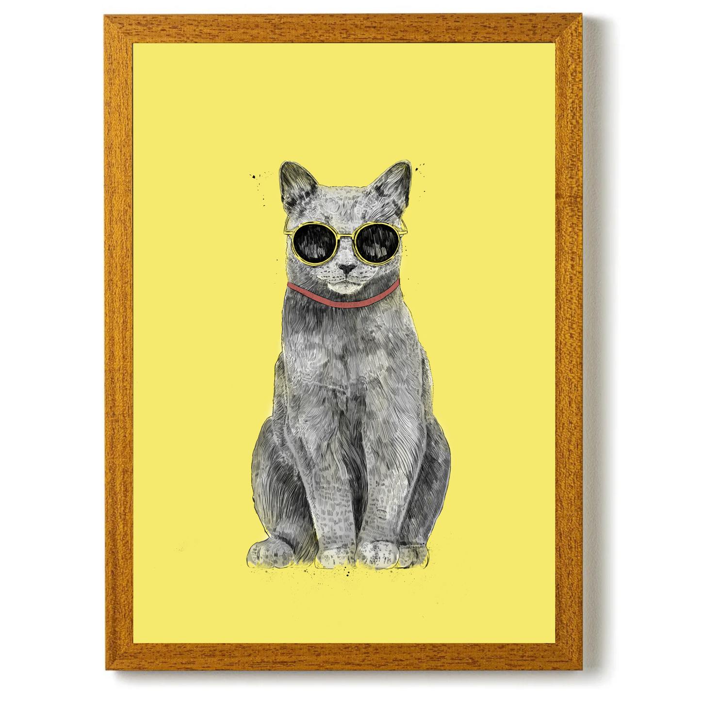 Summer Cat by Balazs Solti