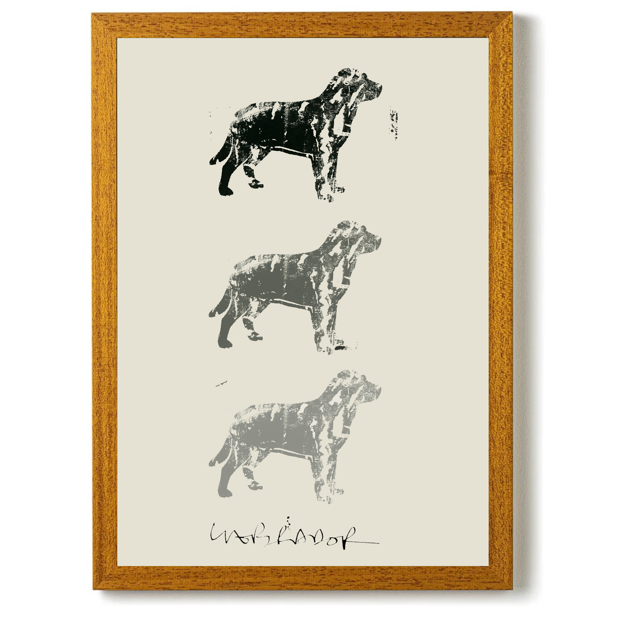 Labrador by Cartissi