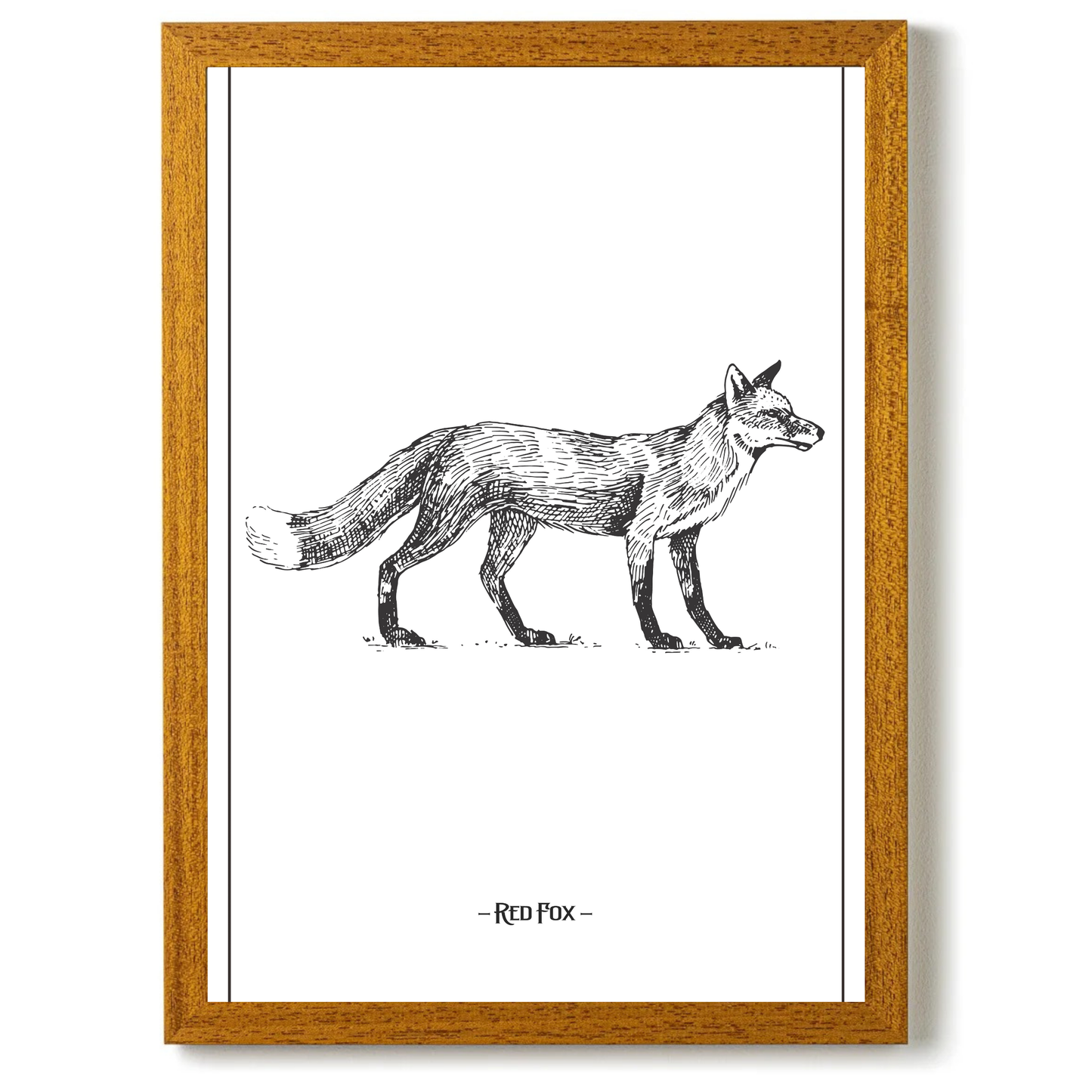 Red Fox by Jason Stanley