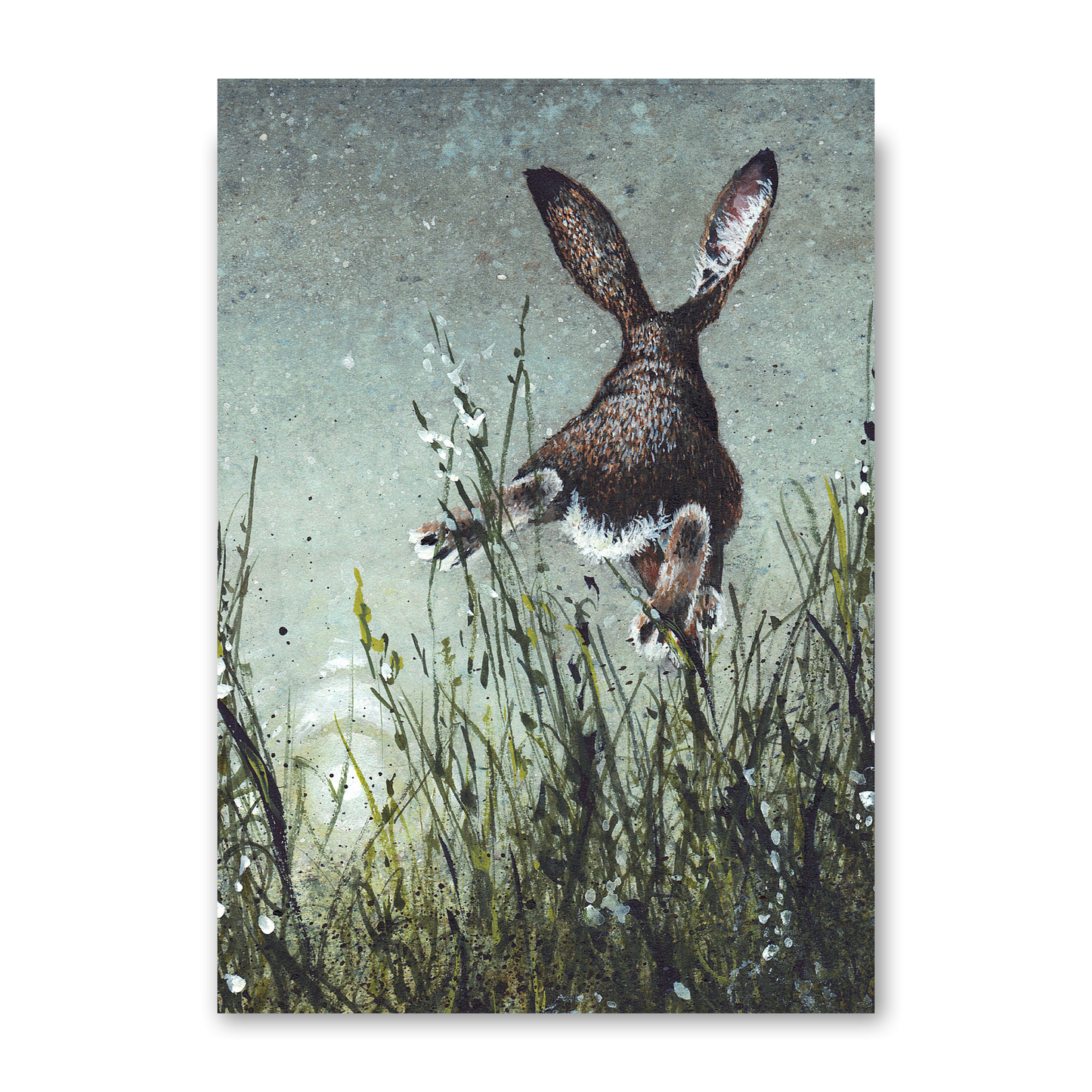 Airborne by Maggie Vandewalle