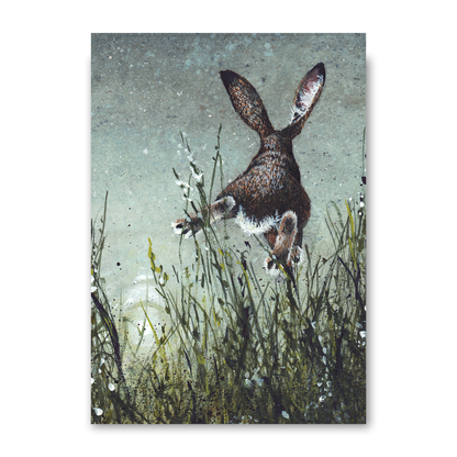 Airborne by Maggie Vandewalle