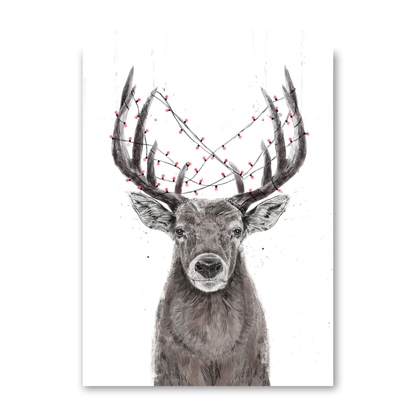 Xmas Deer by Balazs Solti
