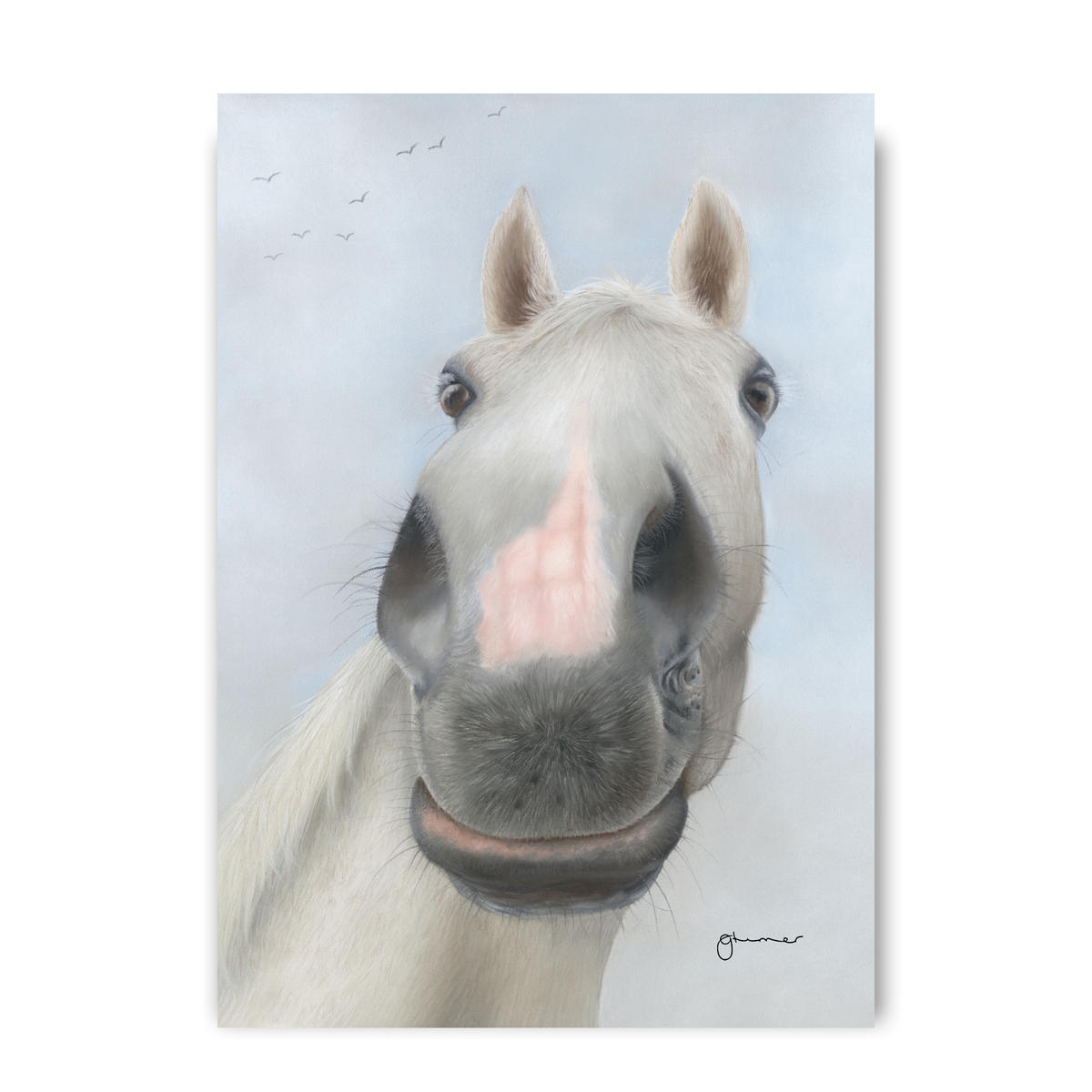 Desert Orchid by Georgie Turner