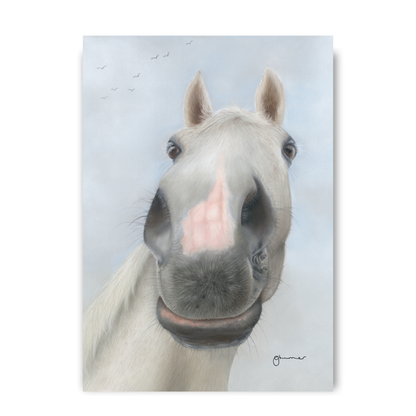 Desert Orchid by Georgie Turner