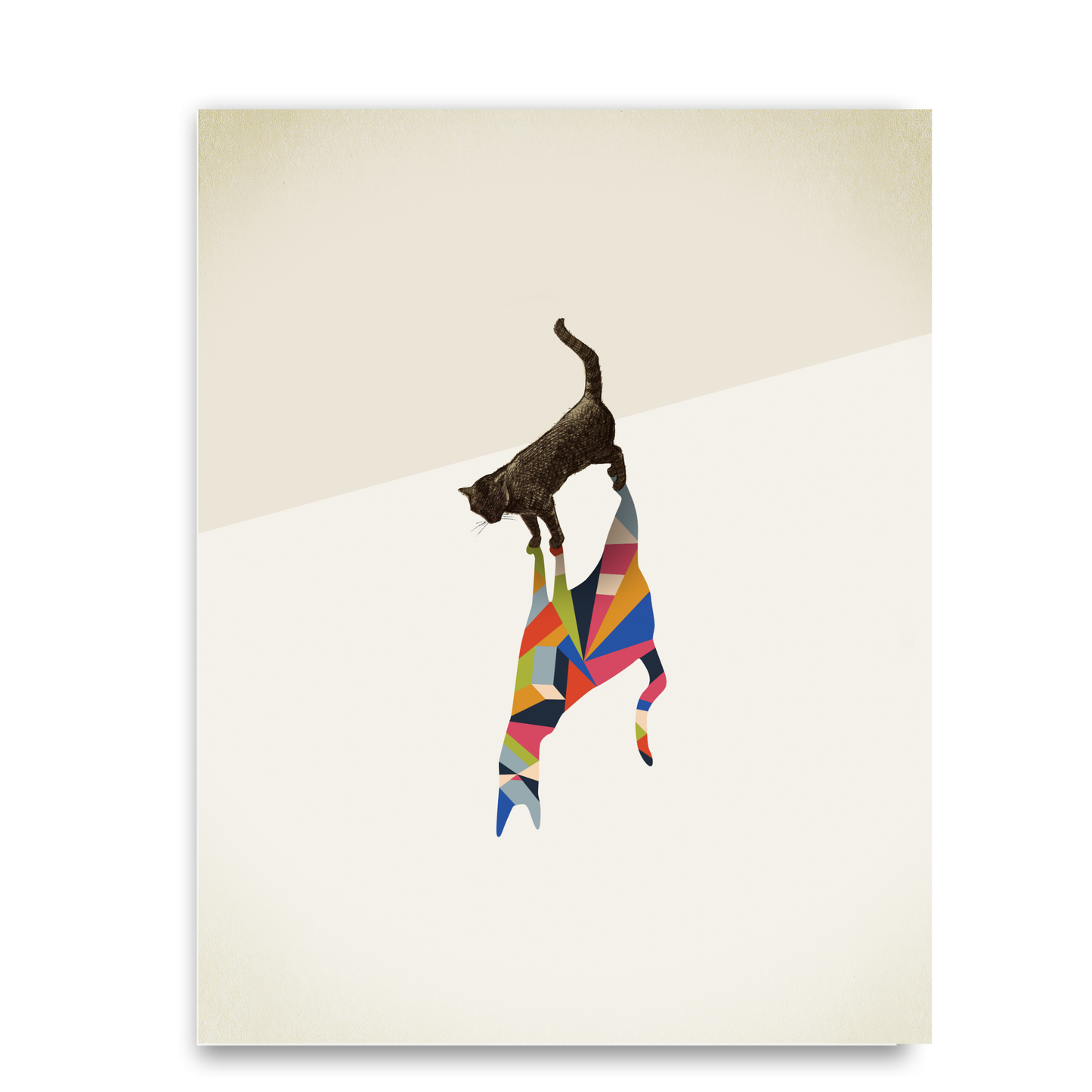 Walking Shadow Cat by Jason Ratliff