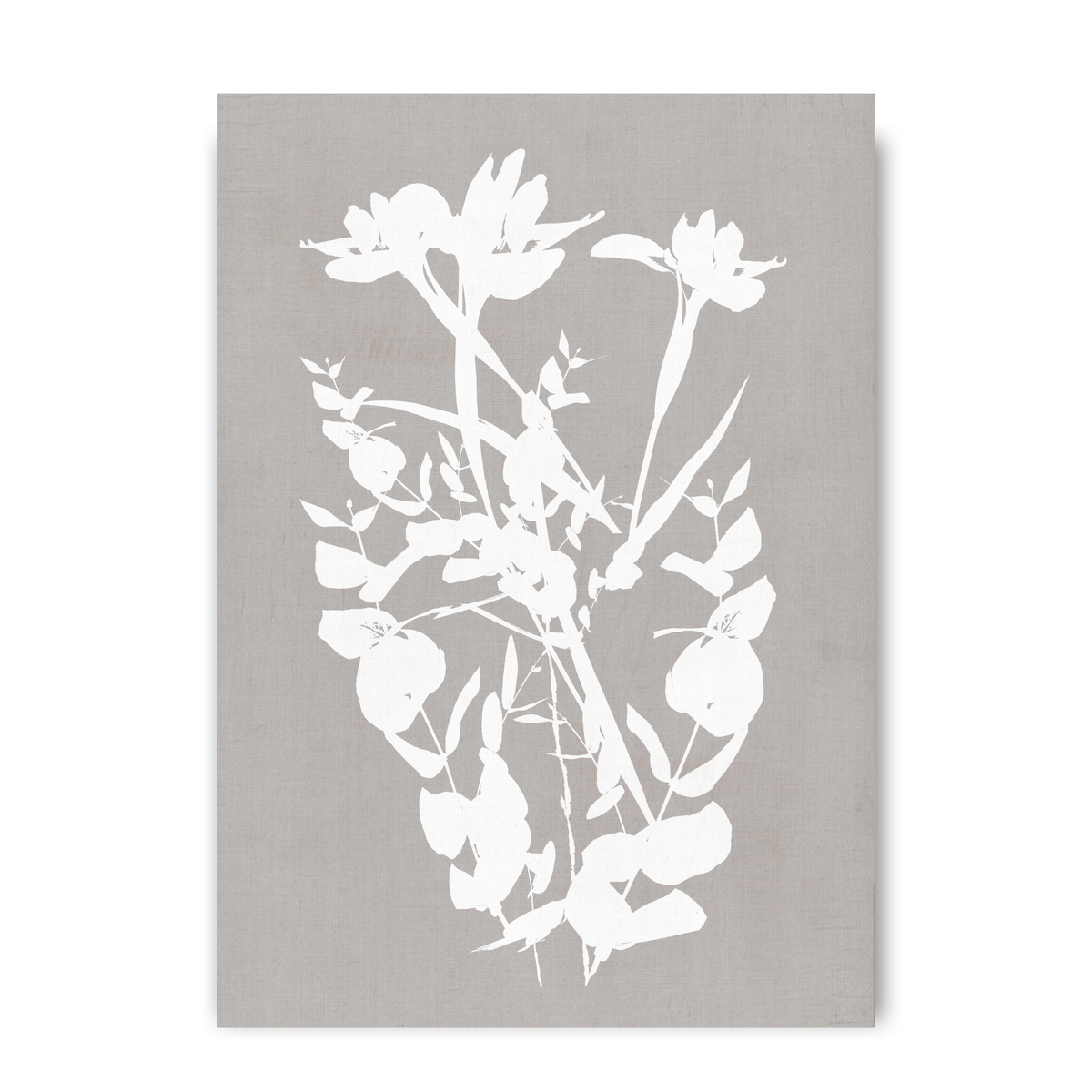 Botanical Illustration 4 by Cartissi