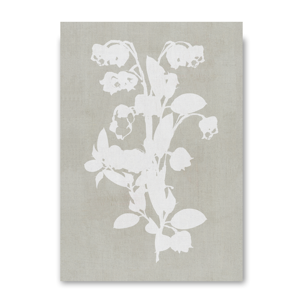 Botanical Illustration 1 by Cartissi
