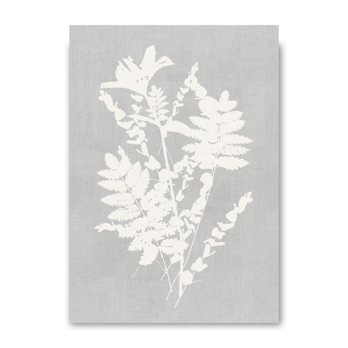 Botanical Illustration 2 by Cartissi