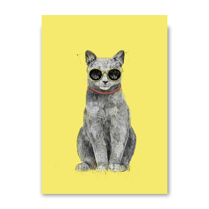 Summer Cat by Balazs Solti