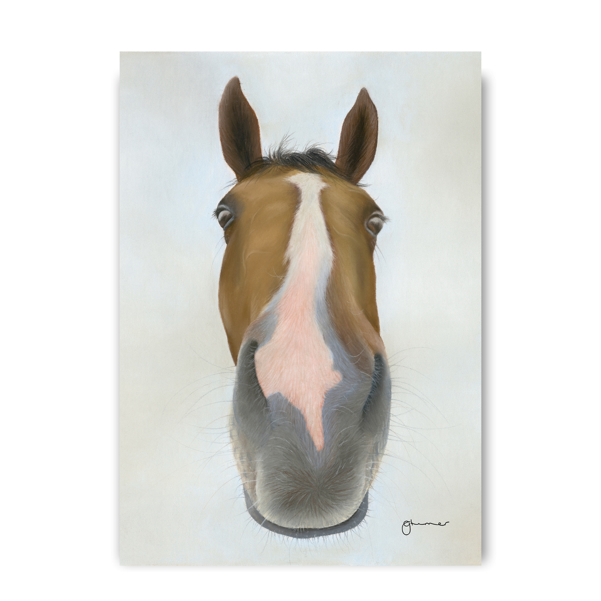 Faugheen by Georgie Turner
