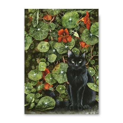 The Stuff of Daydreams by Maggie Vandewalle