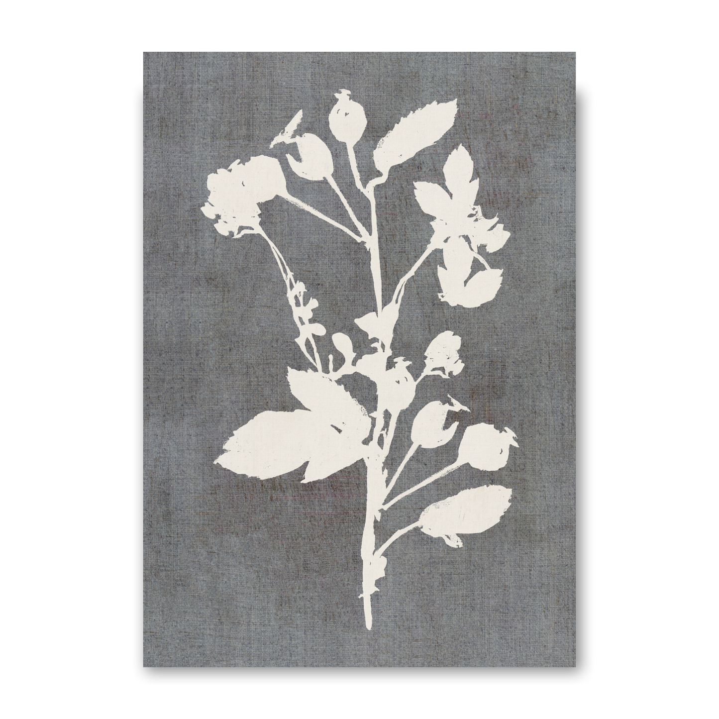 Botanical Illustration 3 by Cartissi