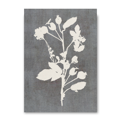 Botanical Illustration 3 by Cartissi