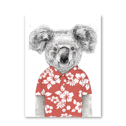 Summer Koala by Balazs Solti