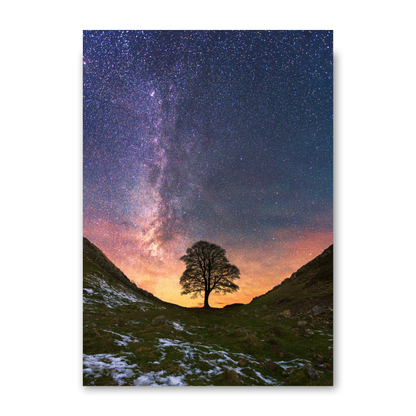 Sycamore Gap with Milky Way by Steven Robinson