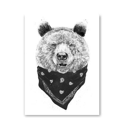 Wild Bear by Balazs Solti