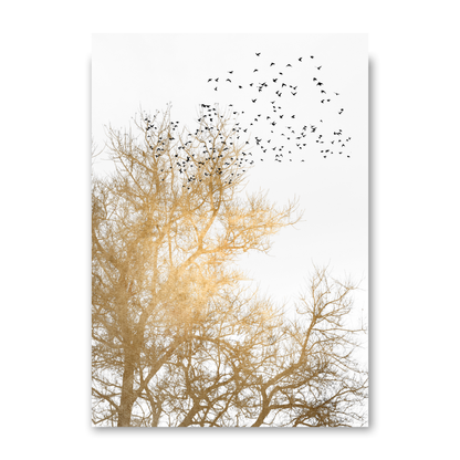 Golden Skies by Kubistika