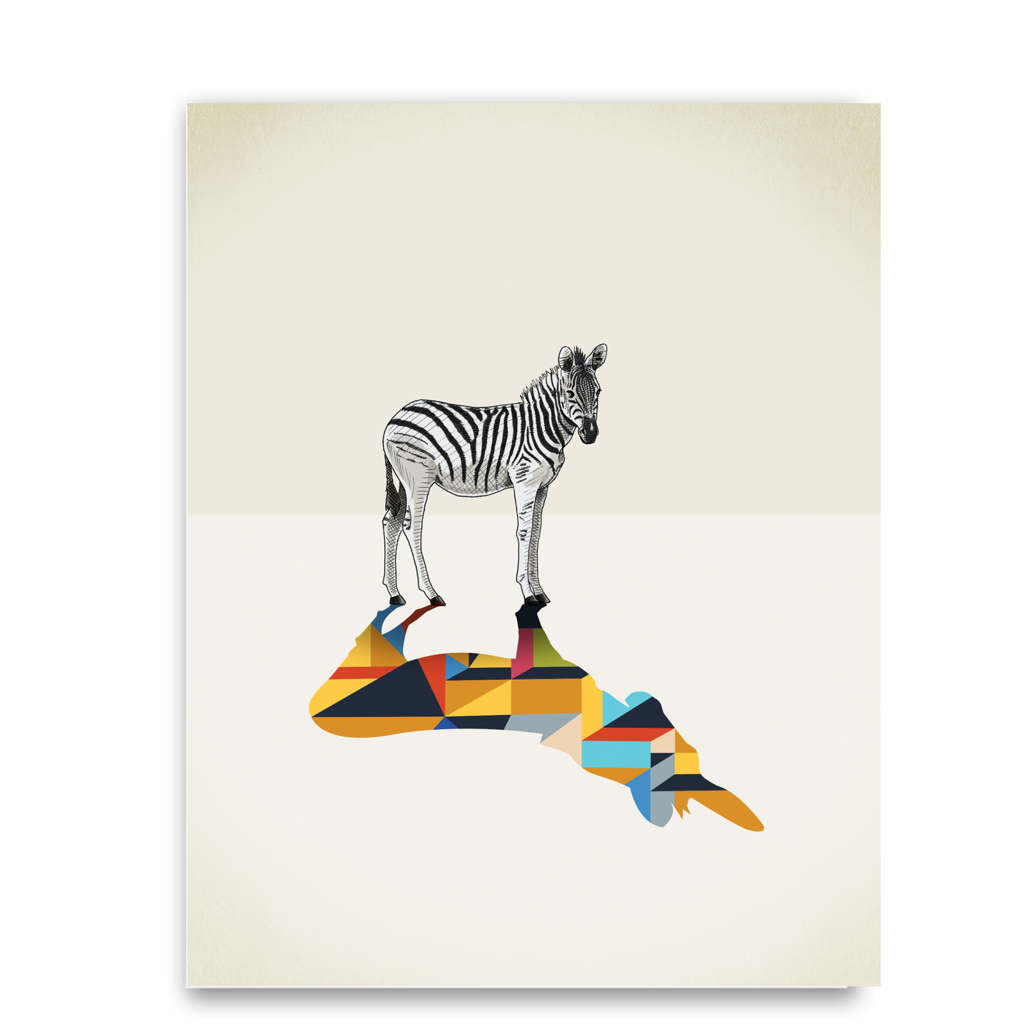 Walking Shadow Zebra by Jason Ratliff