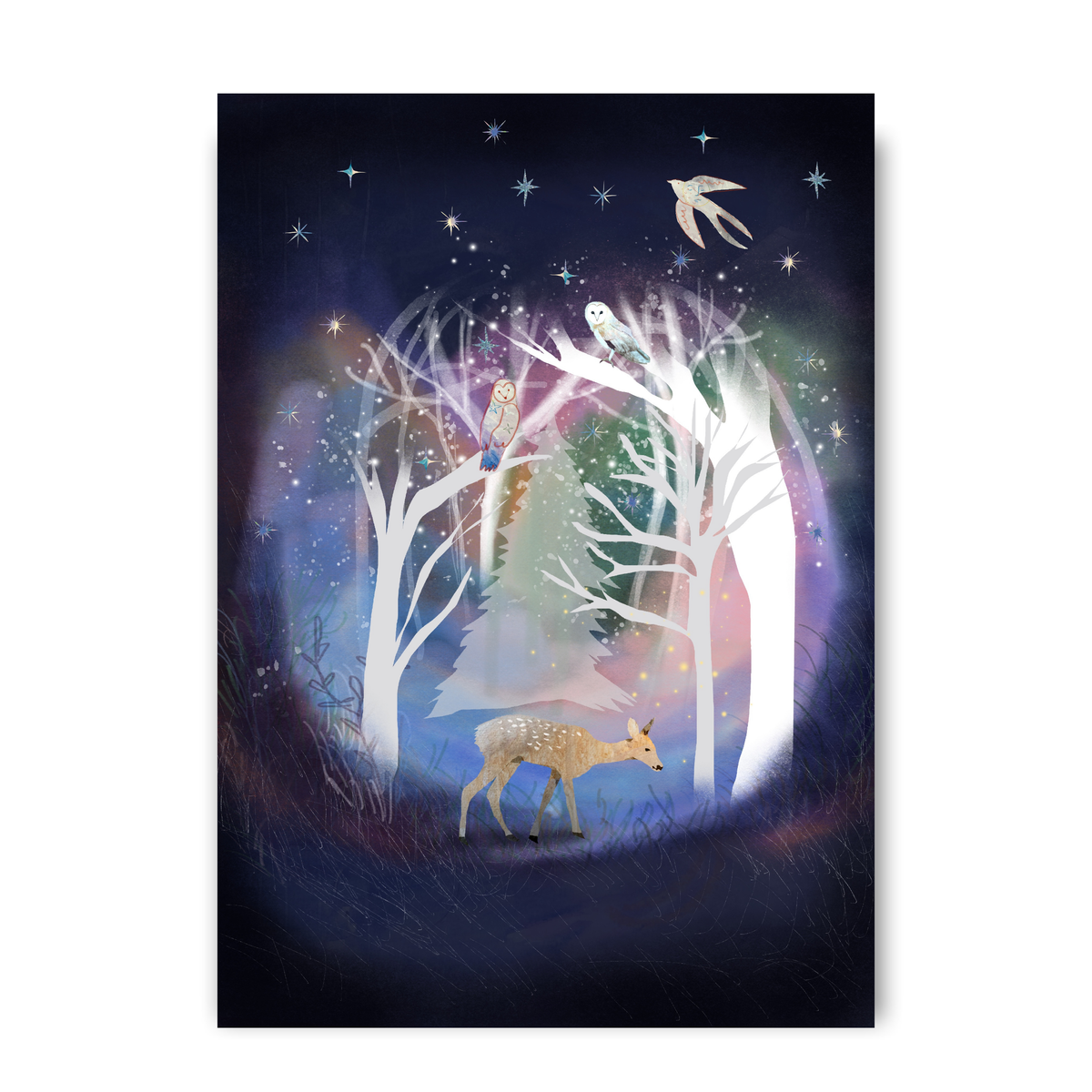 Snow Wood by Claire Westwood