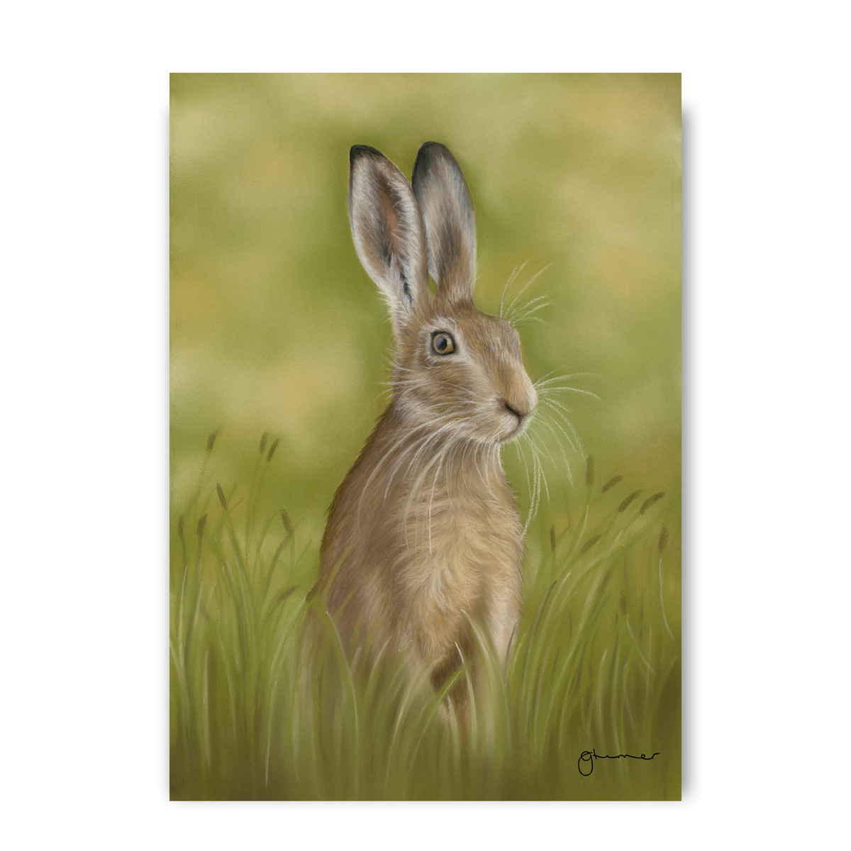 Hare in the Grass by Georgie Turner