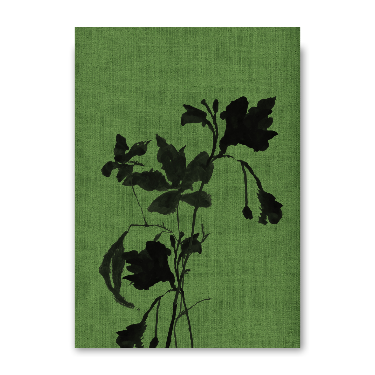 Terre Verte by Cartissi