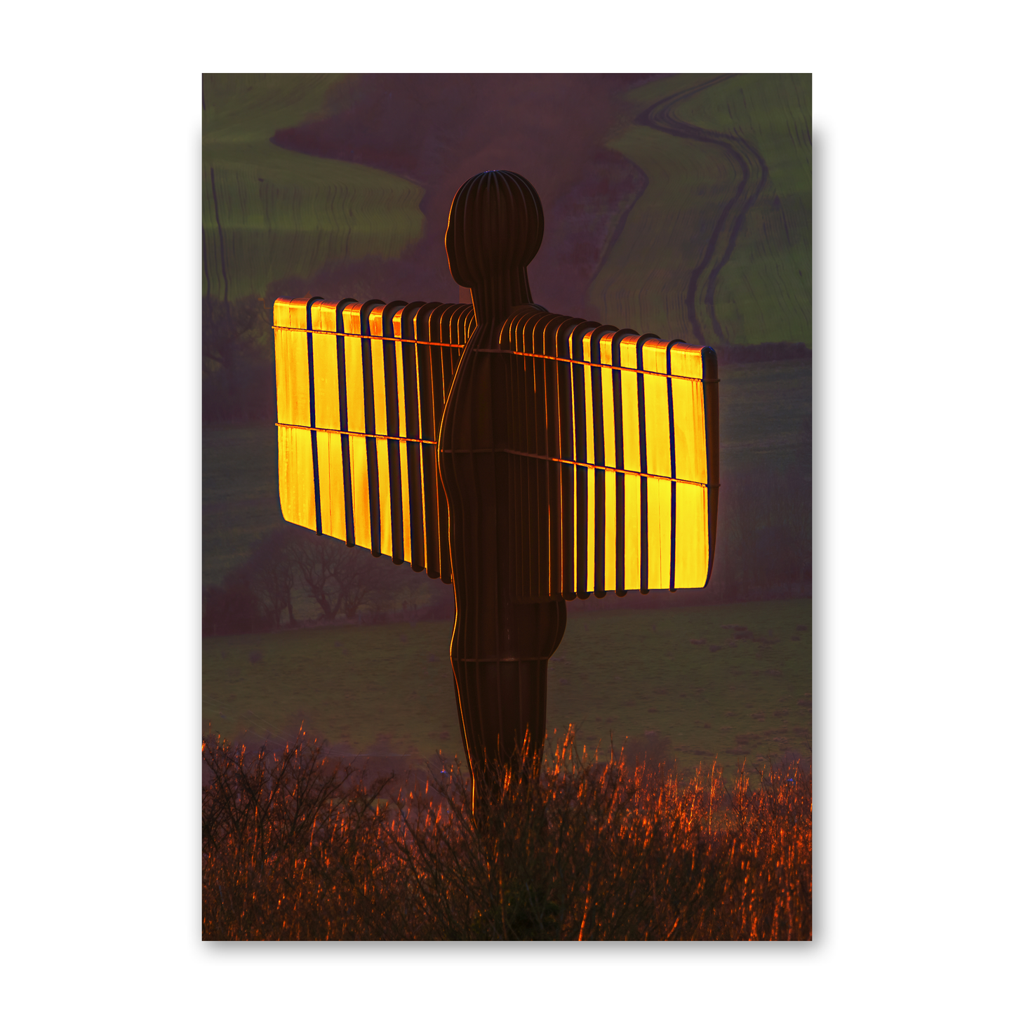 The Angel of The North With The Setting Sun Lighting Her Wings by Steven Robinson
