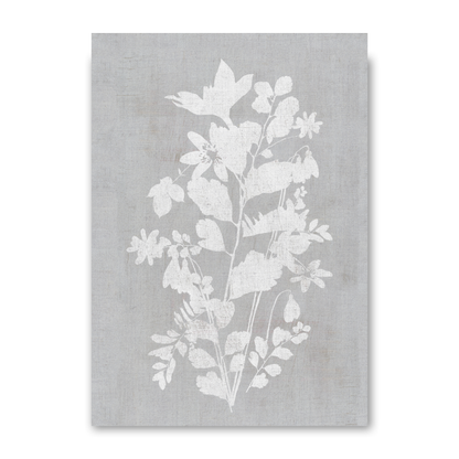 Botanical Illustration 5 by Cartissi