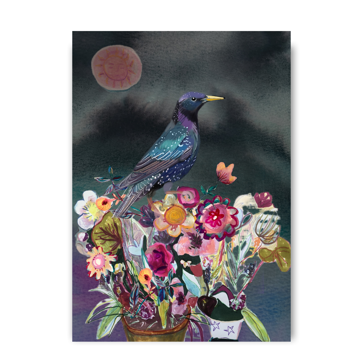 Starling by Claire Westwood