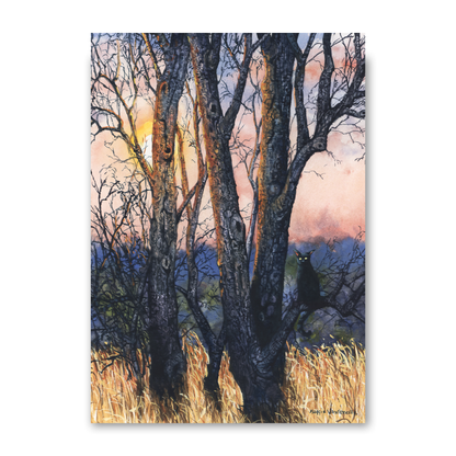 Sundown by Maggie Vandewalle