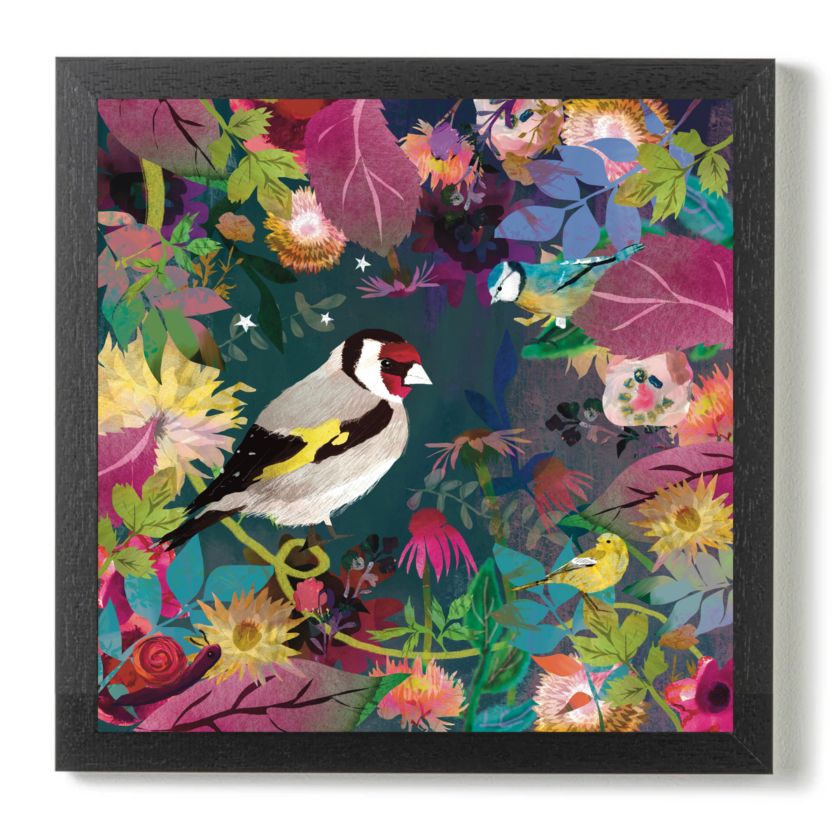 Garden by Claire Westwood