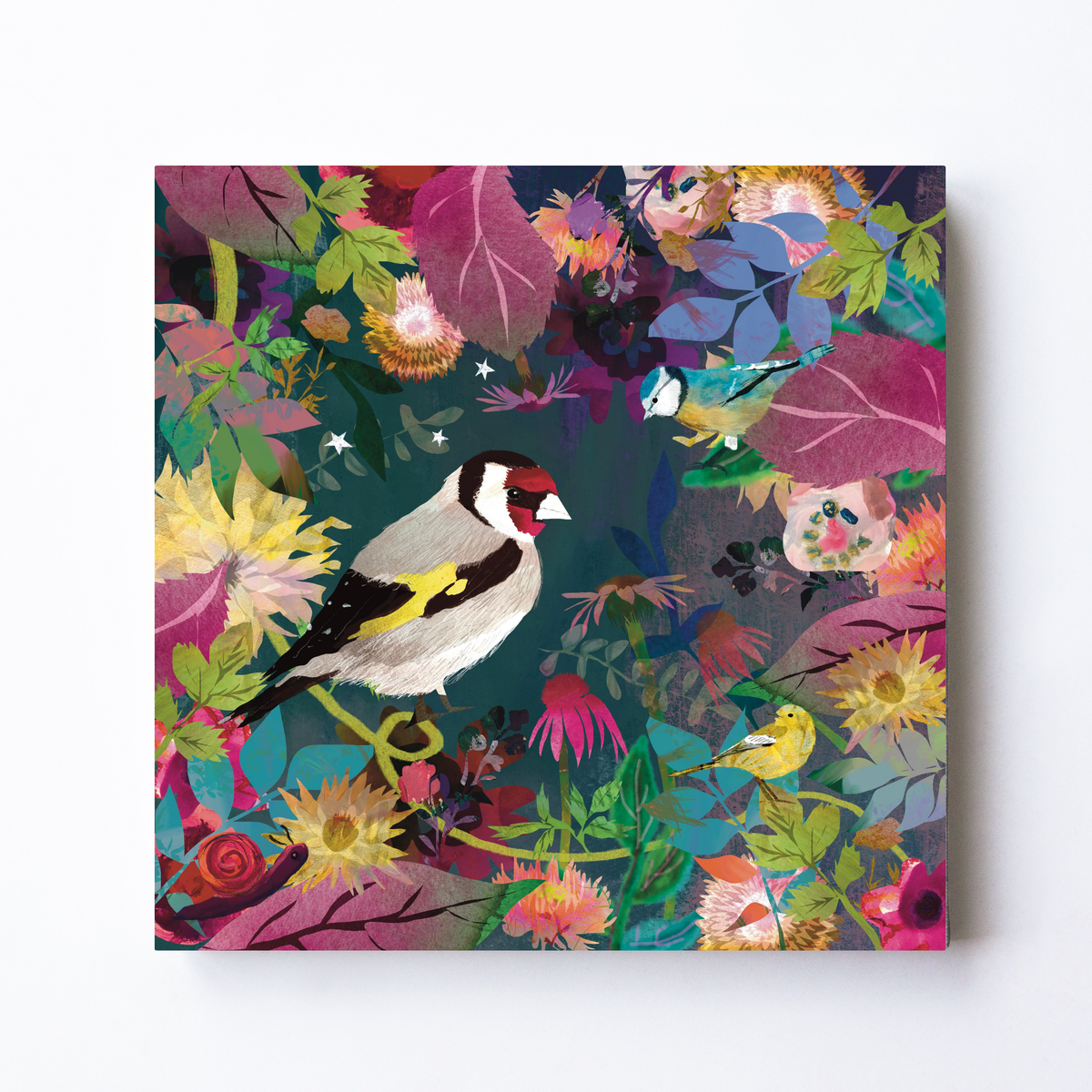 Garden by Claire Westwood