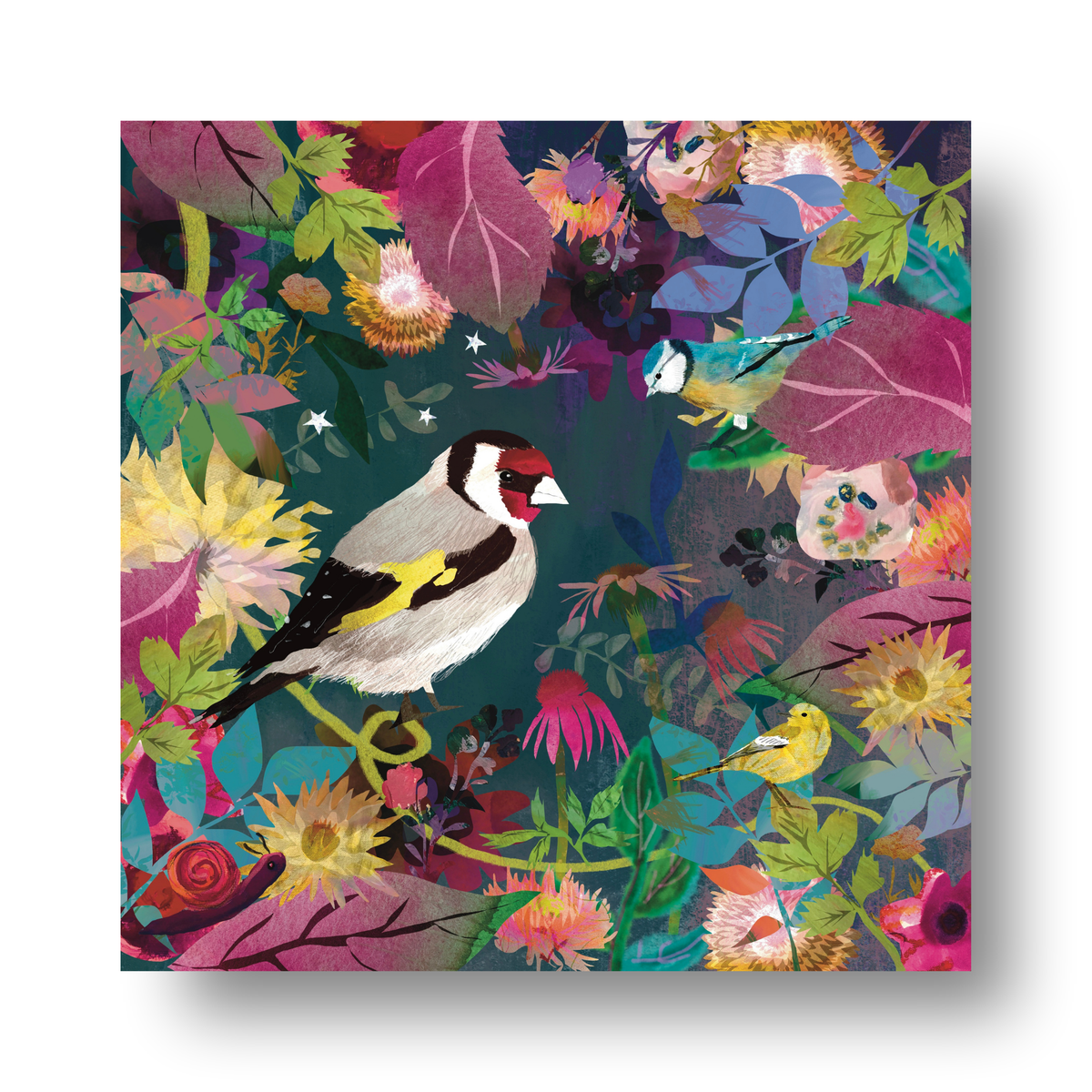 Garden by Claire Westwood