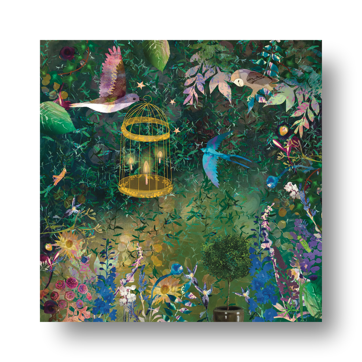 Gardening by Claire Westwood