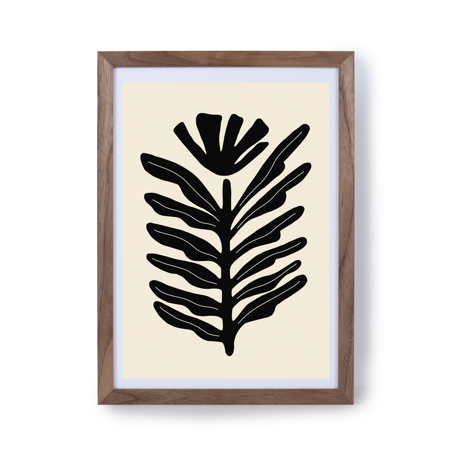 Abstract Plant Black by Ani Vidotto