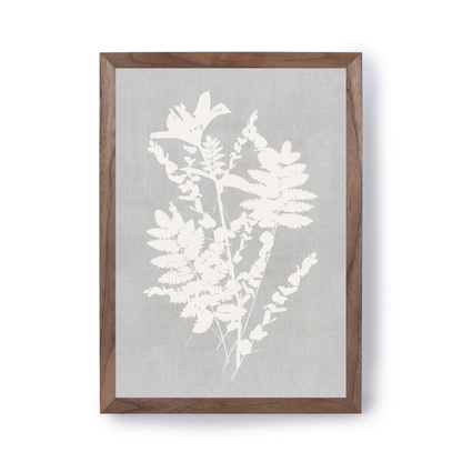 Botanical Illustration 2 by Cartissi