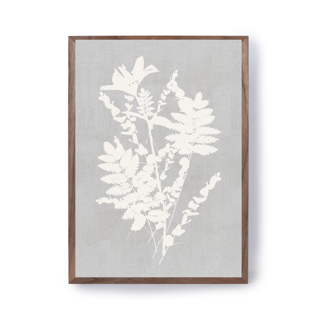 Botanical Illustration 2 by Cartissi