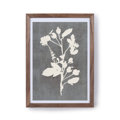 Botanical Illustration 3 by Cartissi