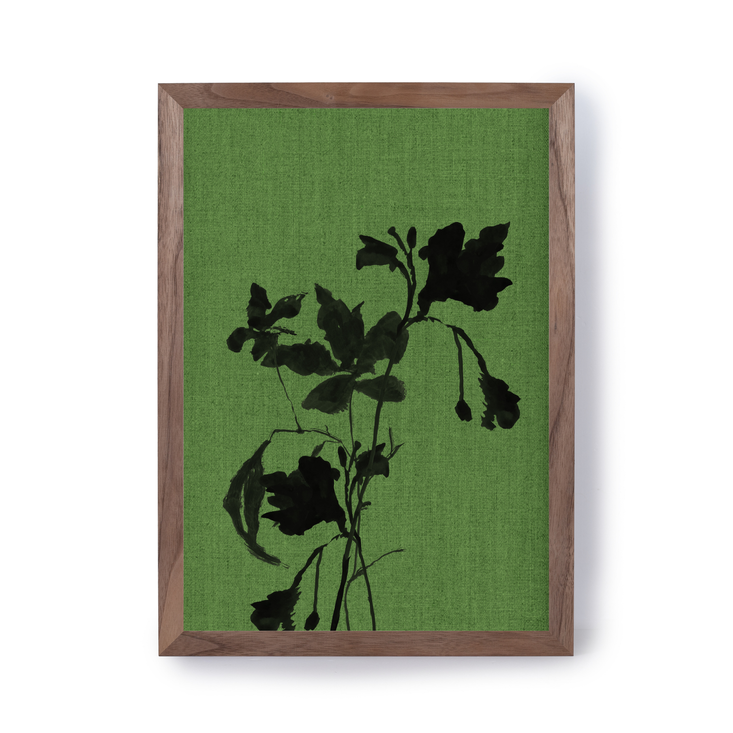 Terre Verte by Cartissi
