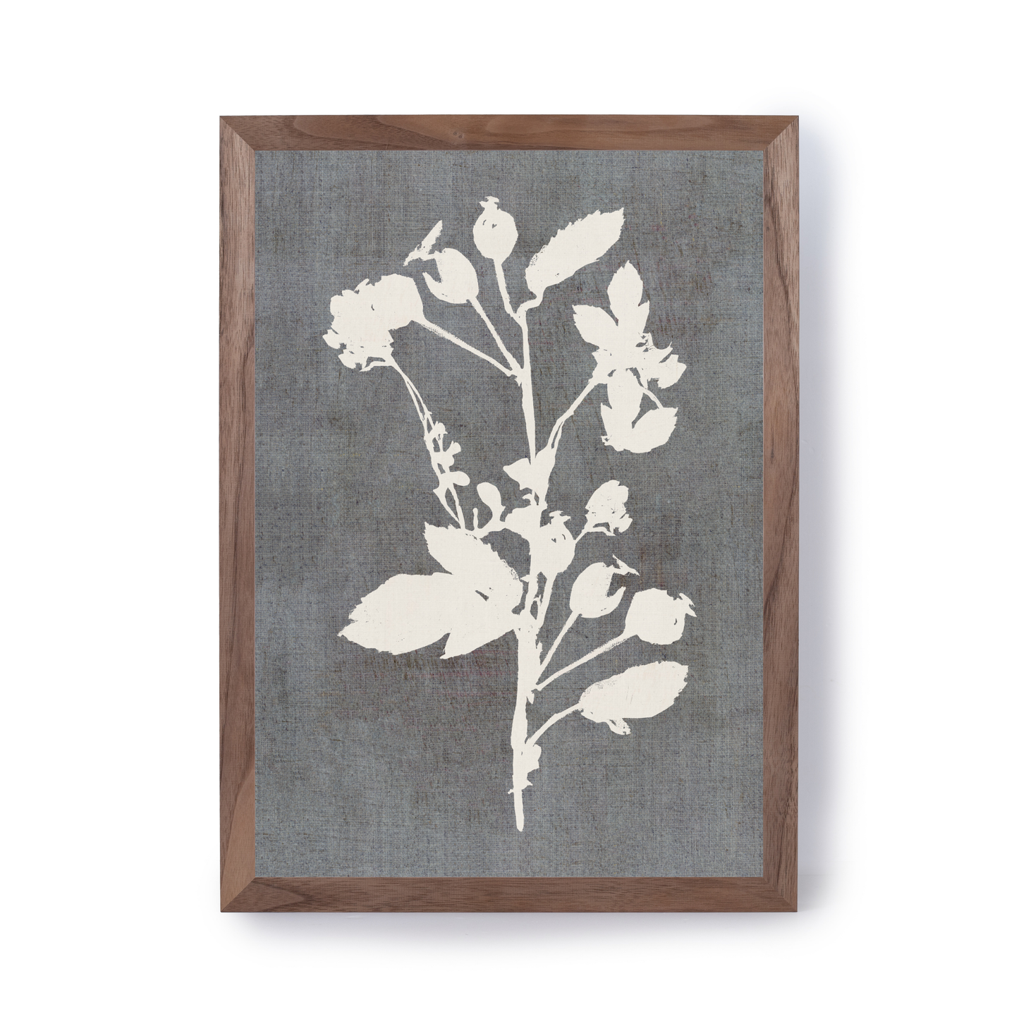 Botanical Illustration 3 by Cartissi