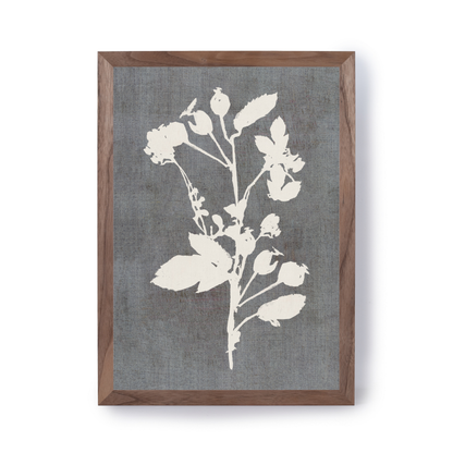 Botanical Illustration 3 by Cartissi
