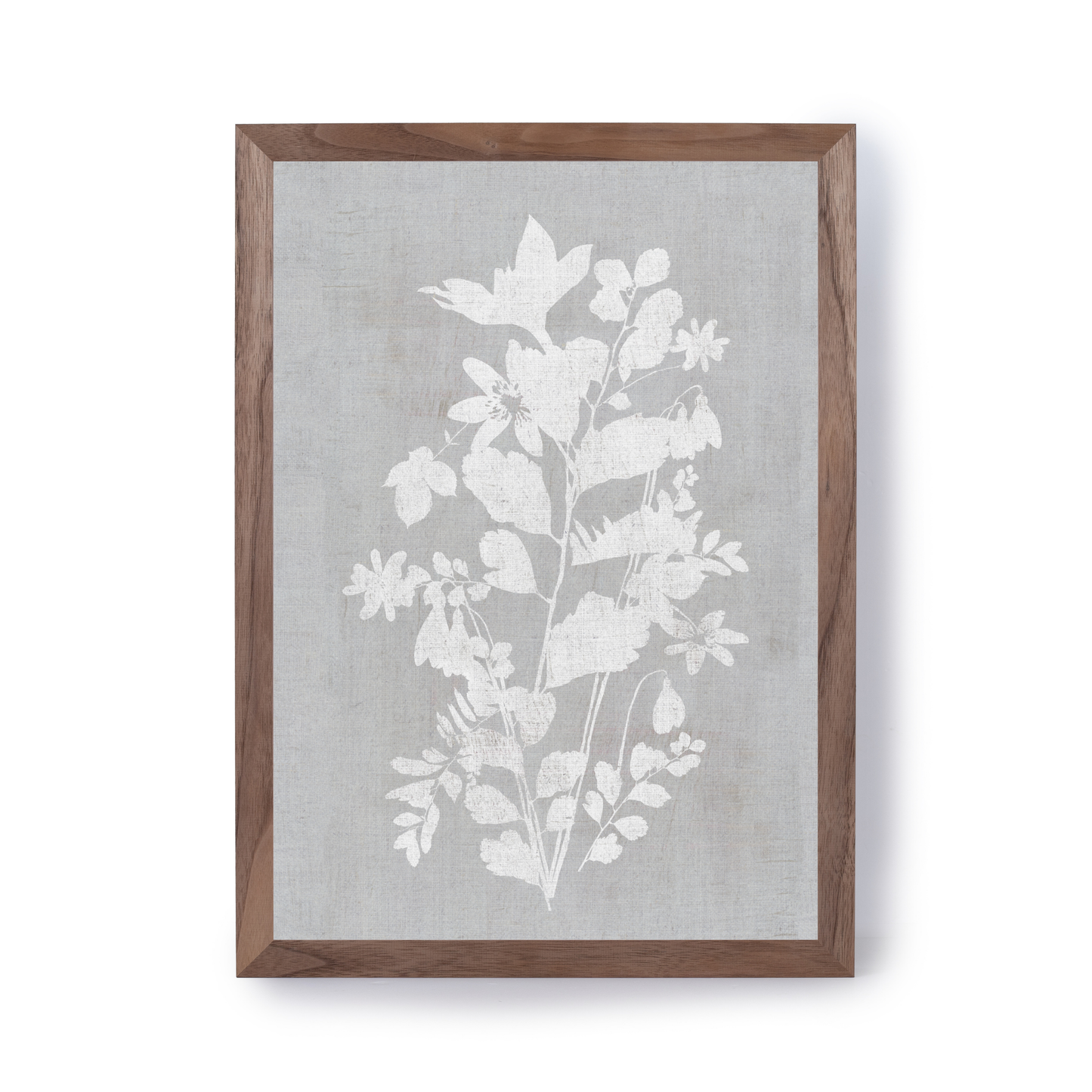 Botanical Illustration 5 by Cartissi