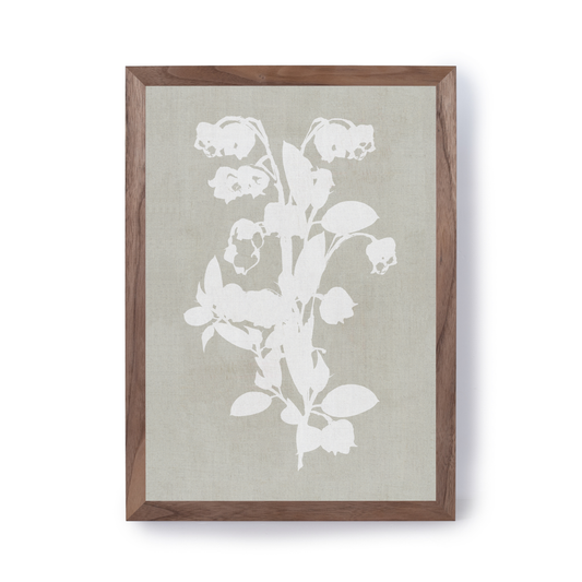 Botanical Illustration 1 by Cartissi